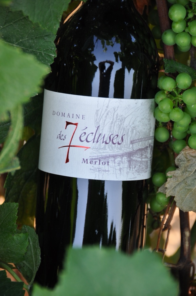 Vins rouges du domaine