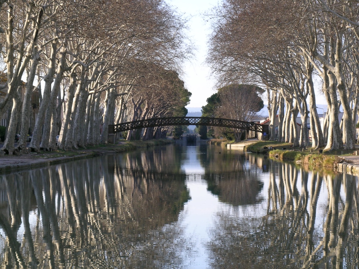 Le domaine