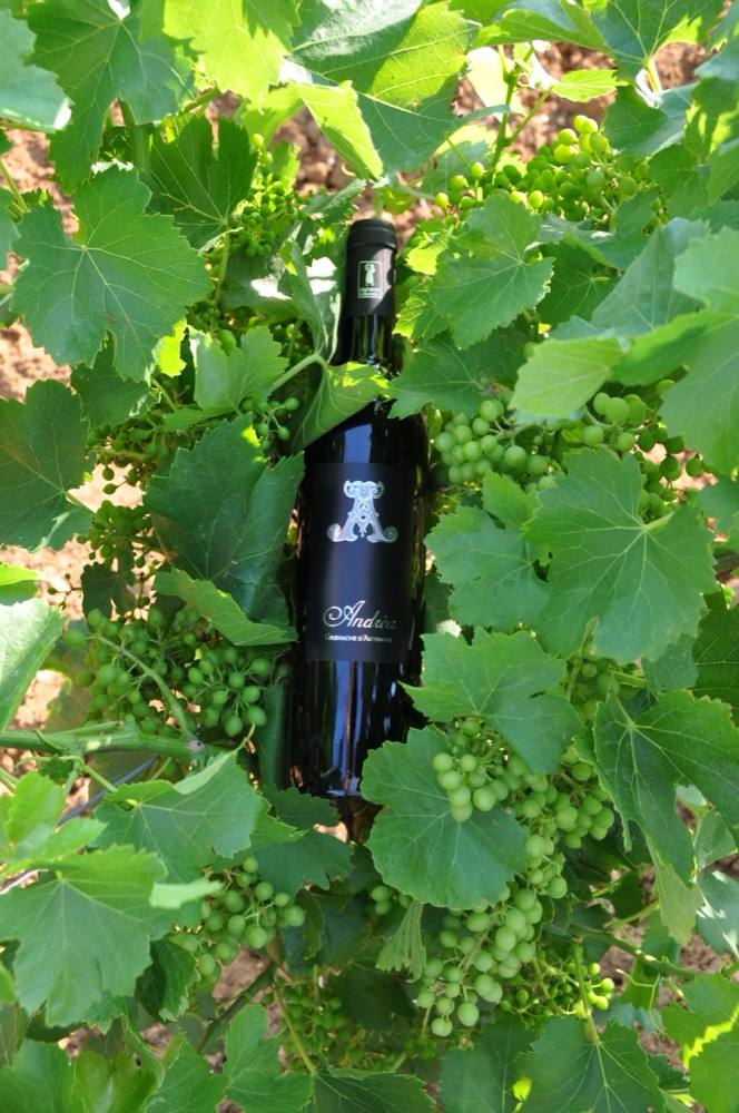 Andréa, vin liquoreux