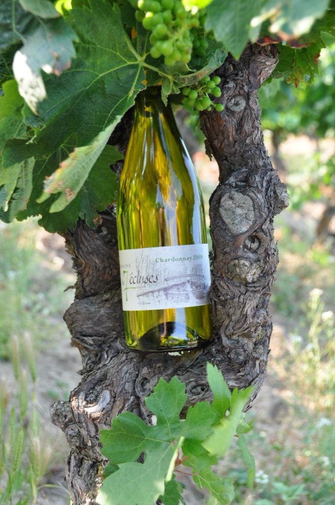 Vins blancs du domaine