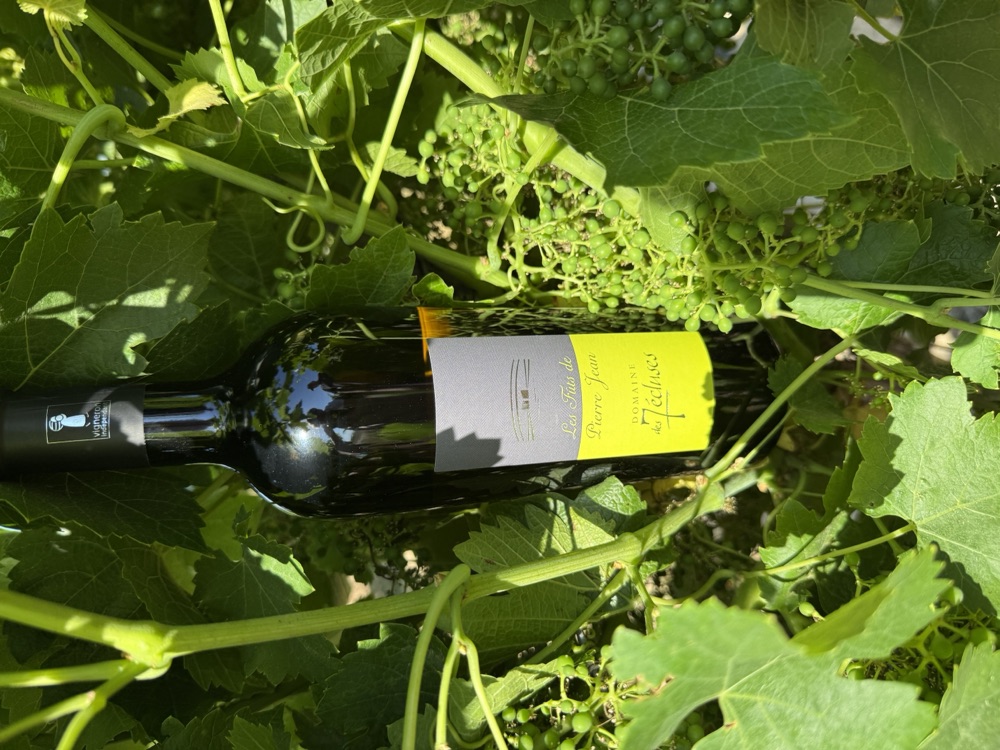 Les Fûts de Pierre Jean, Vin Blanc