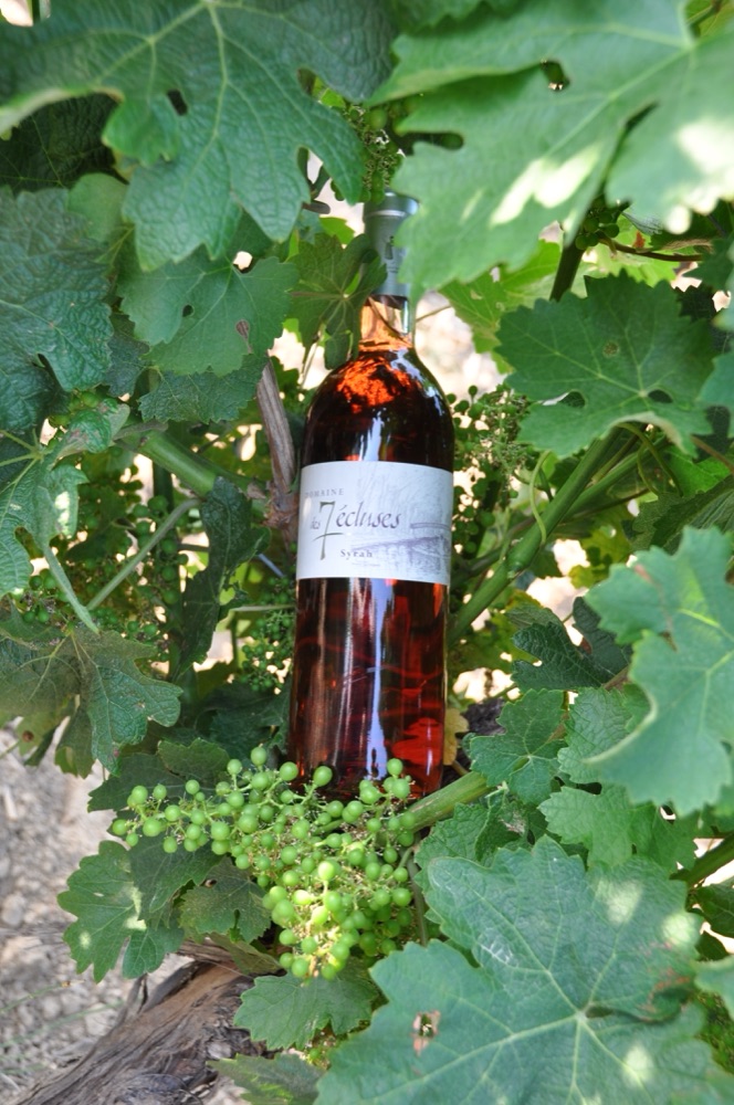 Vins rosés du domaine