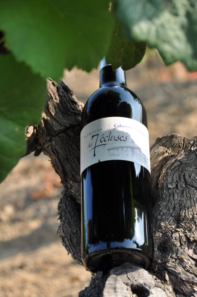 Cabernet-Sauvignon