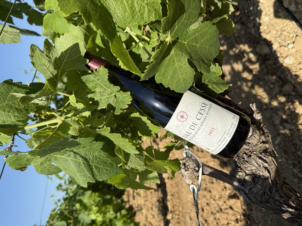 Les vins