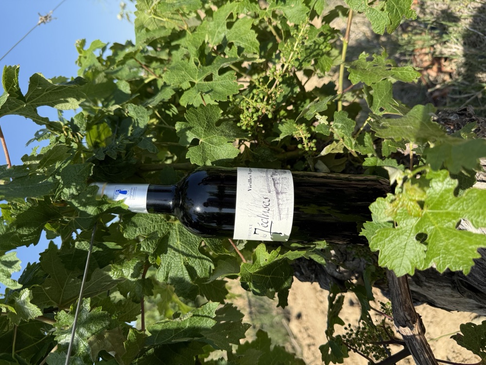 Vieille Vigne